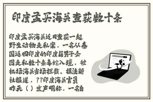 丰满的大隂户近距离特写